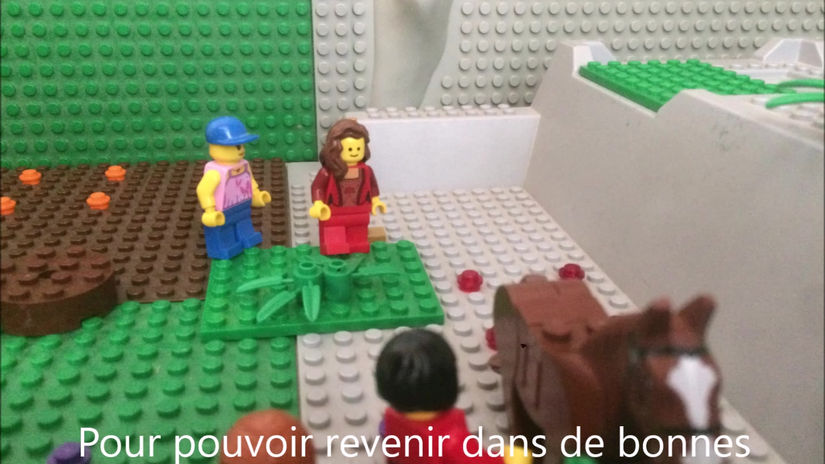 La Colère avec les Poneys